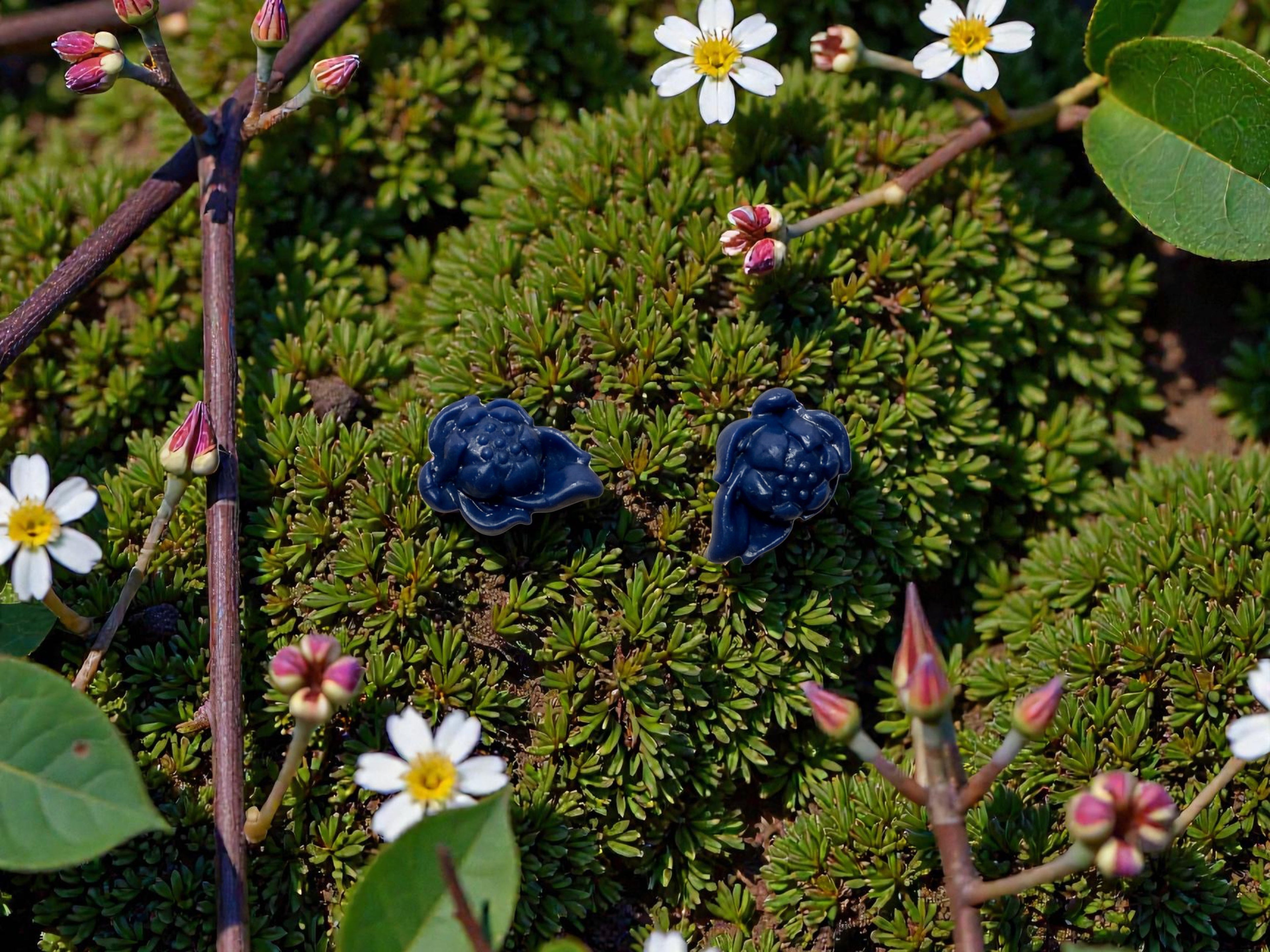 Botanical Collection